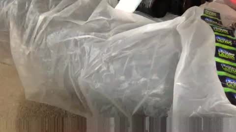 Snapshot of wolfyi chatting on 02-05-25, 02:48 Sultan Blaze online show from 02-05-25, 02:48