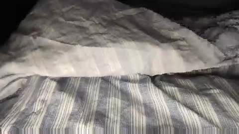 Snapshot of wolfyi chatting on 02-08-25, 10:39 Sultan Blaze online show from 02-08-25, 10:39