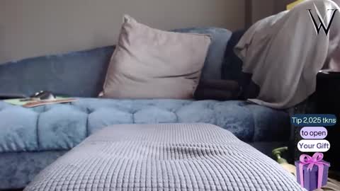 Wonder online show from 12-22-24, 05:34