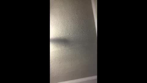 Woodpipe69 online show from 12-23-24, 03:01