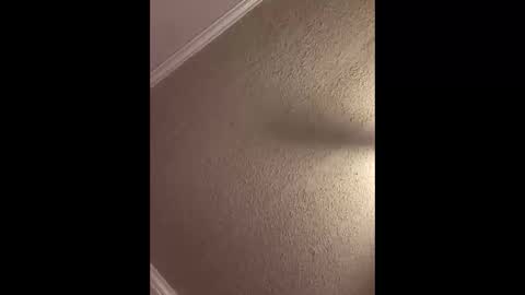 Woodpipe69 online show from 10-03-25, 02:47