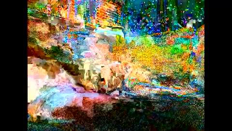 Wowokthankyou online show from 09-19-25, 07:10