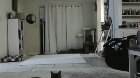 Crystal Lake online show from 12-26-24, 09:22