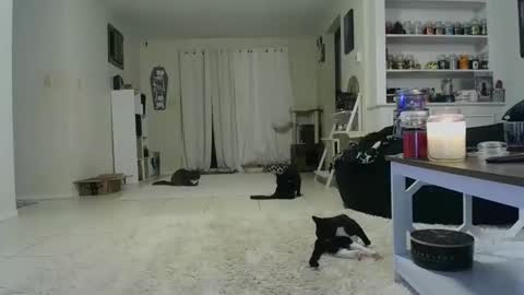 Crystal Lake online show from 10-19-25, 07:42