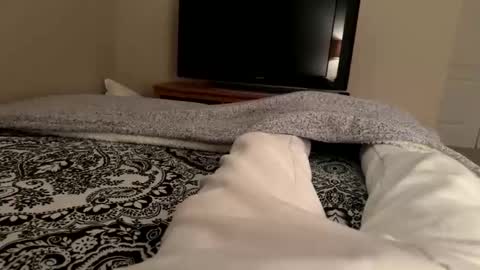 Wsteel66 online show from 02-24-26, 03:48