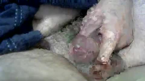 Charles online show from 03-11-25, 06:53