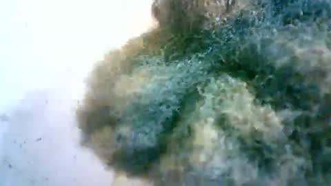 Snapshot of xenna610827 chatting on 02-20-25, 06:50 xenna610827 online show from 02-20-25, 06:50