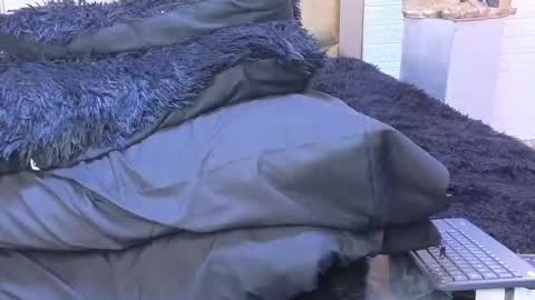 ximena online show from 02-22-25, 03:34