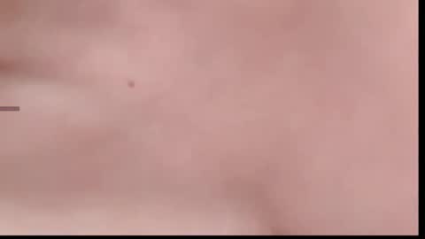 xinbao799322 online show from 11-14-25, 02:05