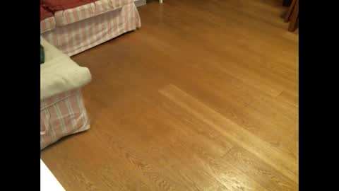 Snapshot of xmystiqdreamsx chatting on 01-26-25, 12:01 xmystiqdreamsx online show from 01-26-25, 12:01