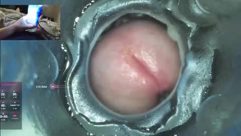 xoxowtf online show from 12-07-24, 04:53