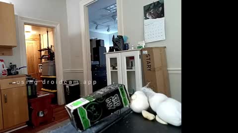 Johnny online show from 02-10-25, 06:24