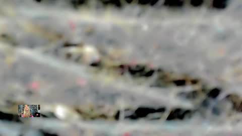 Femboy Exotic online show from 02-16-25, 04:53