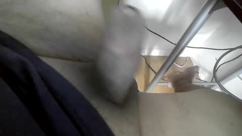 Snapshot of xxenryxx92 chatting on 06-15-26, 04:20 xxenryxx92 online show from 06-15-26, 04:20