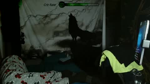 xxxjrstrokesxxx online show from 01-28-25, 11:50