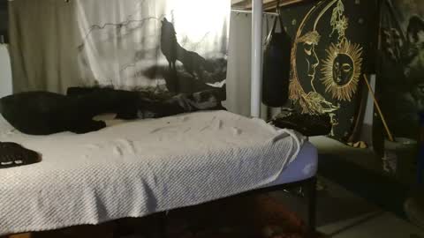 xxxjrstrokesxxx online show from 09-20-25, 06:20