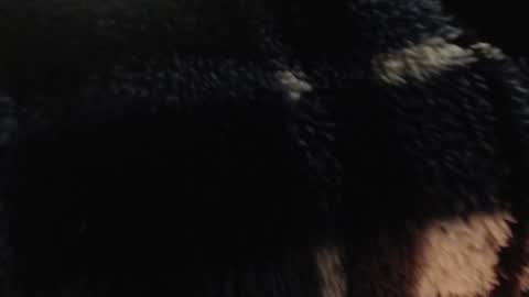 xxxking89 online show from 12-14-24, 05:36