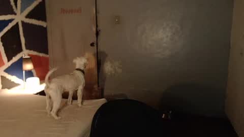 Melissa online show from 02-04-25, 11:49