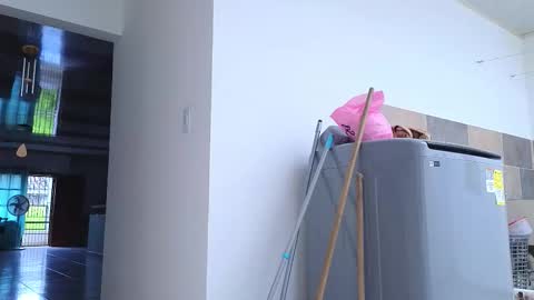 xxxtatianabustyxxx online show from 09-26-25, 06:01