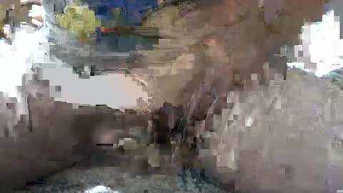 Yankee online show from 10-06-25, 05:38