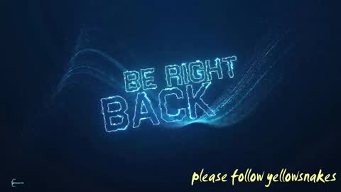 .     y e l l o w s n a k e s       . online show from 10-10-25, 07:18