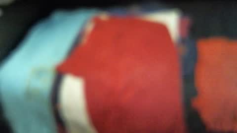 .     y e l l o w s n a k e s       . online show from 11-13-25, 12:42