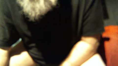 .     y e l l o w s n a k e s       . online show from 11-18-25, 10:31