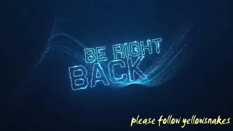 .     y e l l o w s n a k e s       . online show from 11-24-25, 10:42