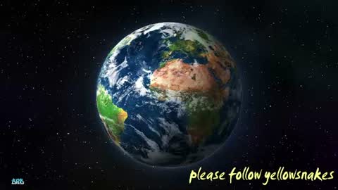 .     y e l l o w s n a k e s       . online show from 12-22-25, 02:25