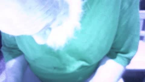 .     y e l l o w s n a k e s       . online show from 02-16-26, 09:00