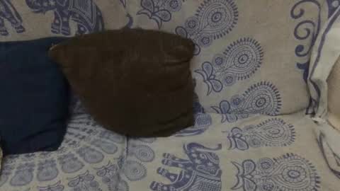 Snapshot of yosoyplex91 chatting on 01-11-26, 11:54 AlexBlack online show from 01-11-26, 11:54