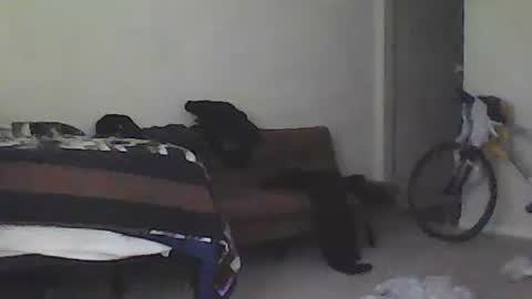 Snapshot of youneverknowimight2 chatting on 02-15-25, 09:37 kindahorny online show from 02-15-25, 09:37