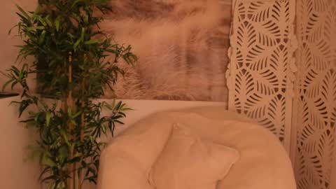 Snapshot of yourmidnightcoffee chatting on 12-02-24, 10:34 Sarah online show from 12-02-24, 10:34