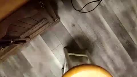 yupthatshim online show from 01-23-25, 05:35