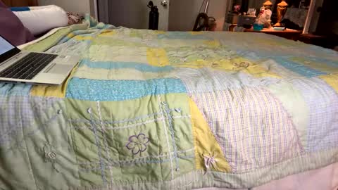 Snapshot of zaddykendoll chatting on 01-06-25, 03:20 Aiden online show from 01-06-25, 03:20