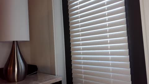 Snapshot of zamoraedii1994 chatting on 01-02-25, 04:46 Edii online show from 01-02-25, 04:46