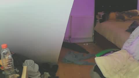 Snapshot of zedbooy chatting on 12-19-24, 05:18 Zed online show from 12-19-24, 05:18