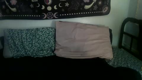 Zelda online show from 02-17-25, 02:09