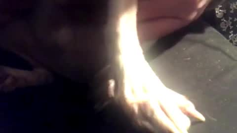 zero online show from 03-07-25, 08:13