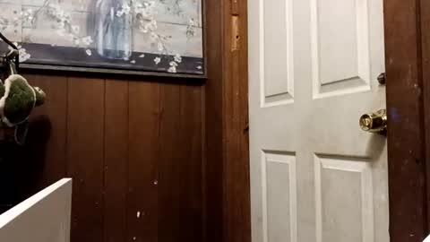 Snapshot of zfdcuvxqqtzh chatting on 11-10-25, 03:27 zfdcuvxqqtzh online show from 11-10-25, 03:27