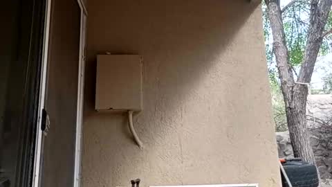 zoeoved92 online show from 10-08-25, 04:37