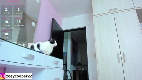 zoey  Independent model online show from 11-12-25, 01:39