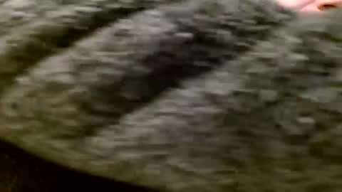 zolexthomas online show from 01-28-25, 05:35