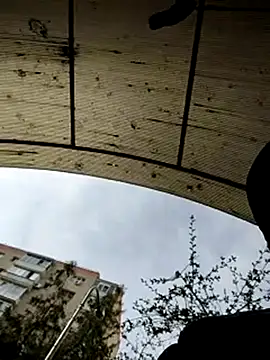 Snapshot of J0nyhson chatting on 03-23-25, 07:31 J0nyhson online show from 03-23-25, 07:31