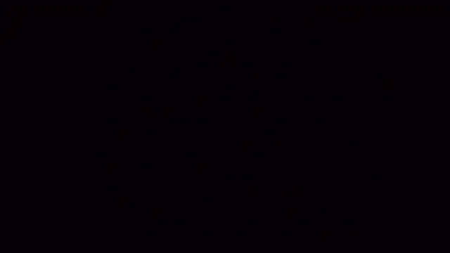 PartyguySLC78 online show from 02-26-25, 12:27