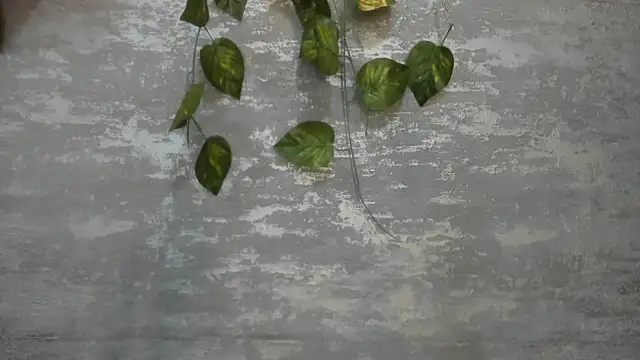 Snapshot of Mhelanny2 chatting on 05-24-26, 06:46 Mhelanny2 online show from 05-24-26, 06:46