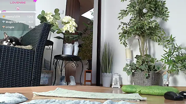 Squirtmania online show from 01-01-25, 07:20