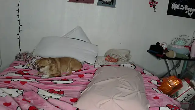 Cupcakecutie449 online show from 02-28-26, 04:19