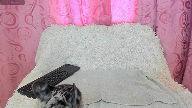 iisabella gonzalez online show from 09-13-25, 08:08