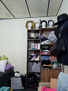 Sakura 0505 online show from 01-24-25, 09:37